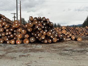 lumber