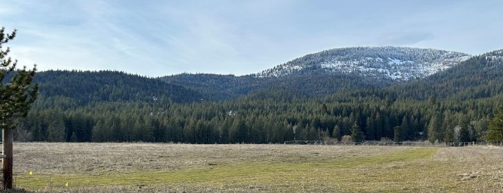 rathdrum view