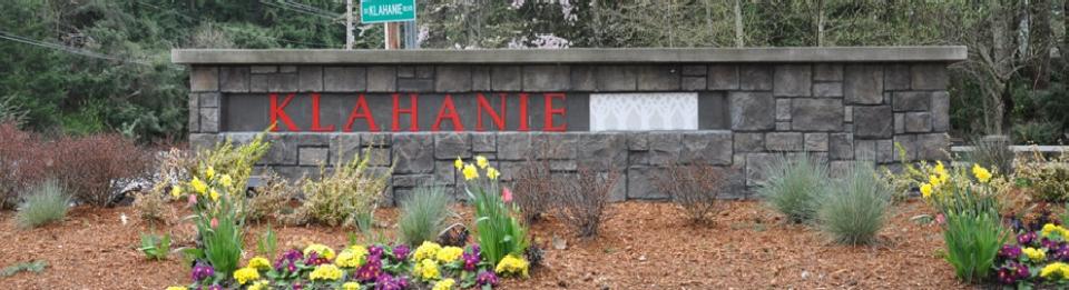 Klahanie Neighborhood Homes For Sale & Klahanie Real Estate