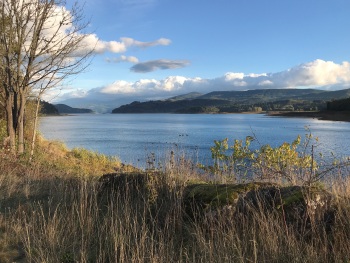 Riffe Lake