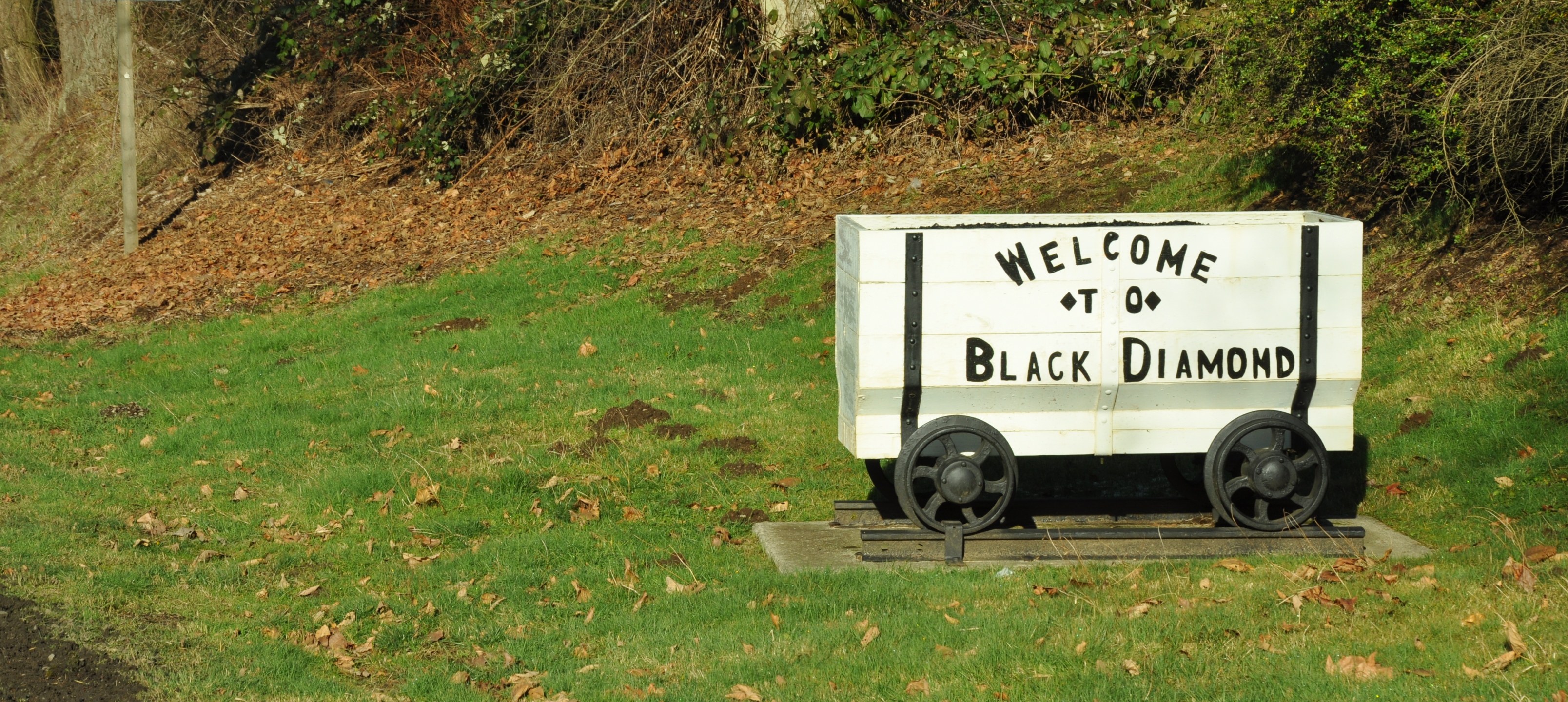 Black Diamond Homes For Sale & Black Diamond Real Estate