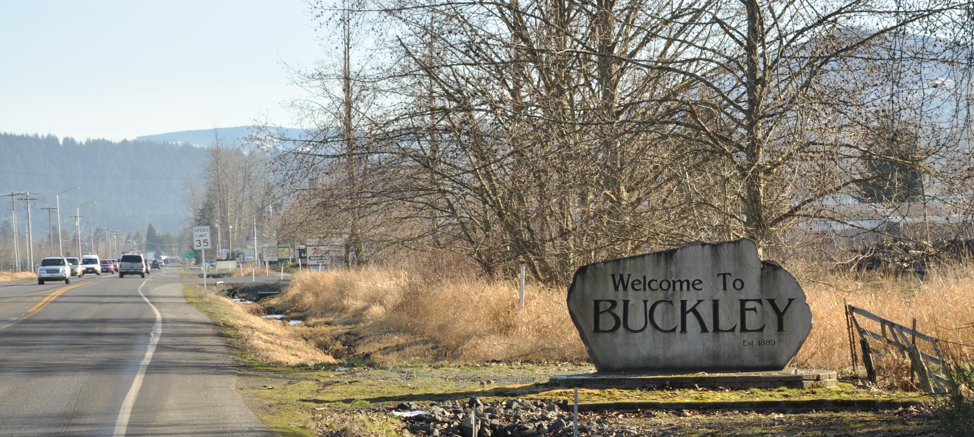 Buckley Homes For Sale & Buckley Real Estate