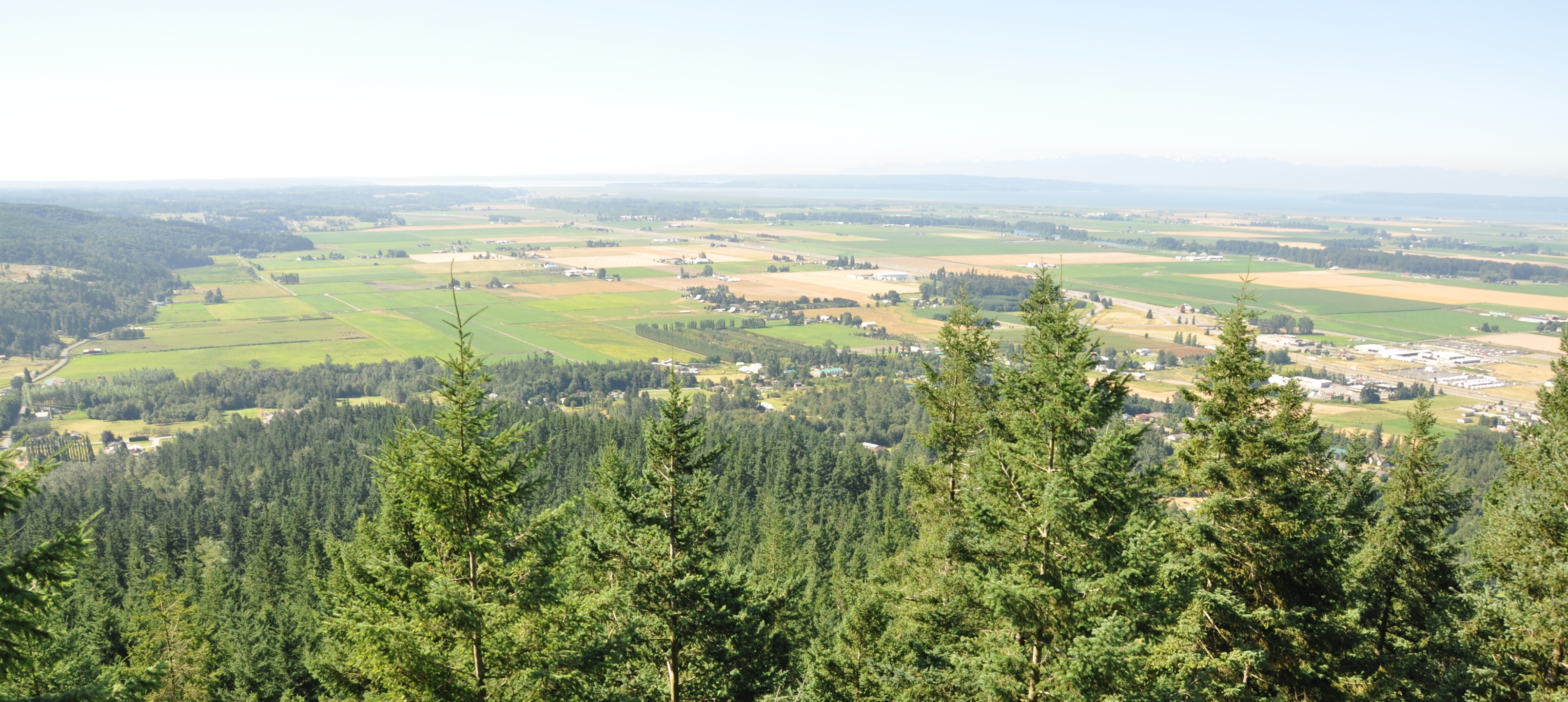 Conway Homes for Sale & Conway Real Estate. Conway, Washington