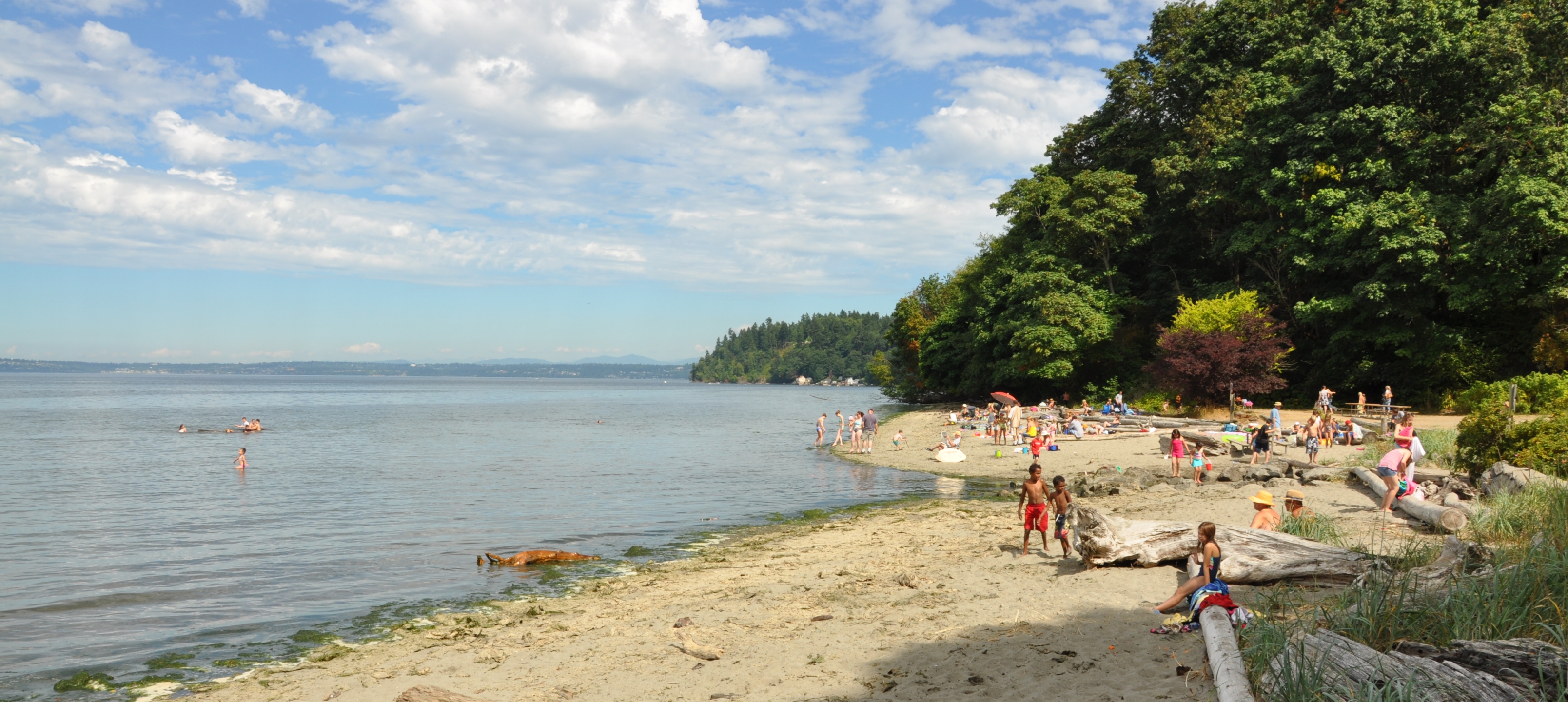 Dash Point Homes for Sale & Dash Point Real Estate. Dash Point, Federal Way