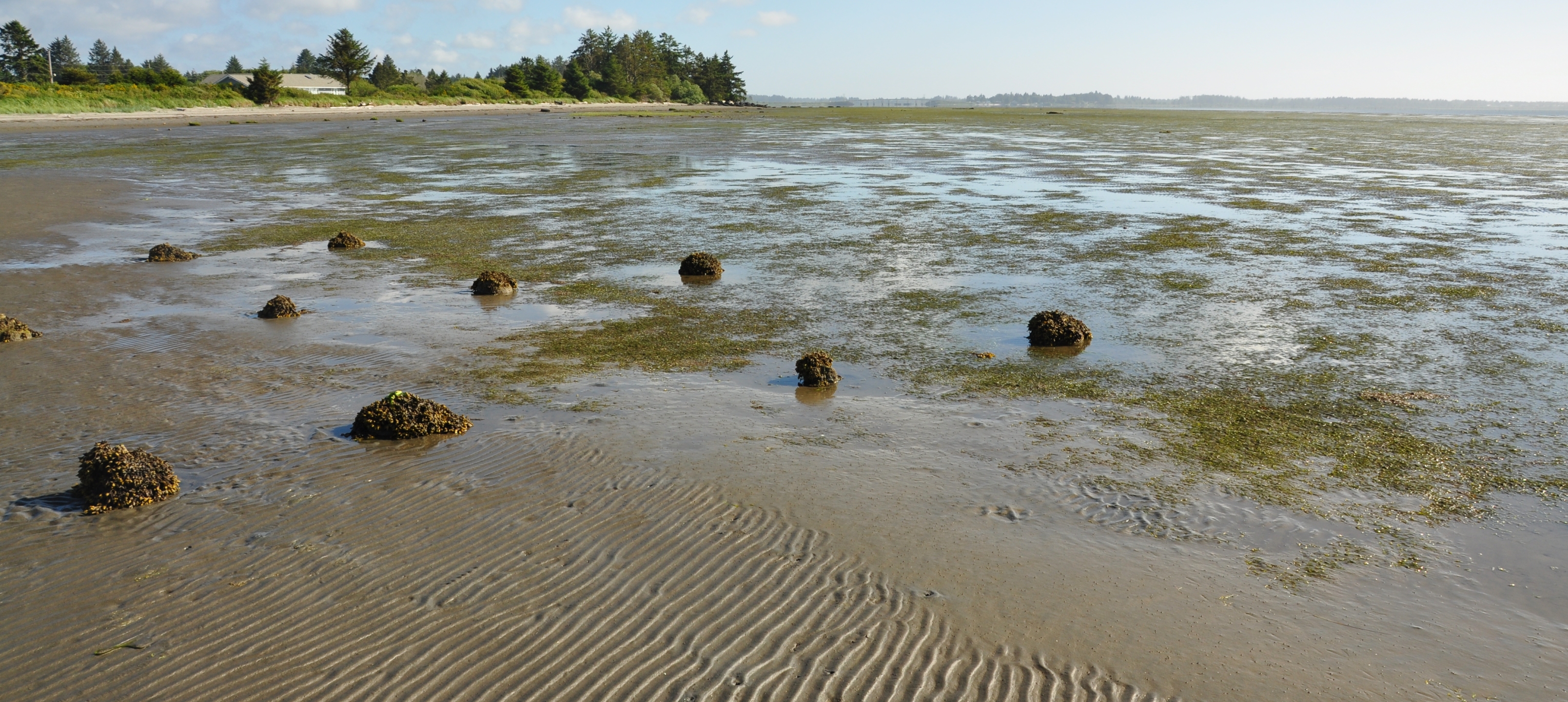 Grays Harbor County Homes For Sale