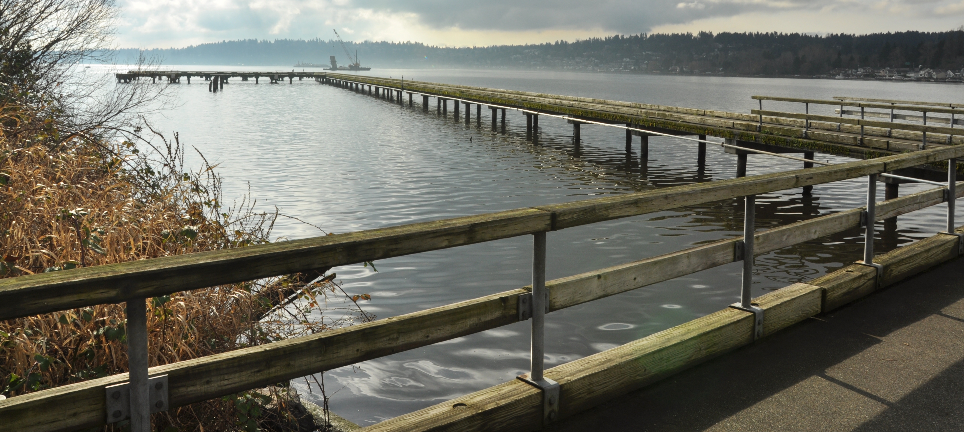 Kenmore Homes For Sale & Kenmore Real Estate