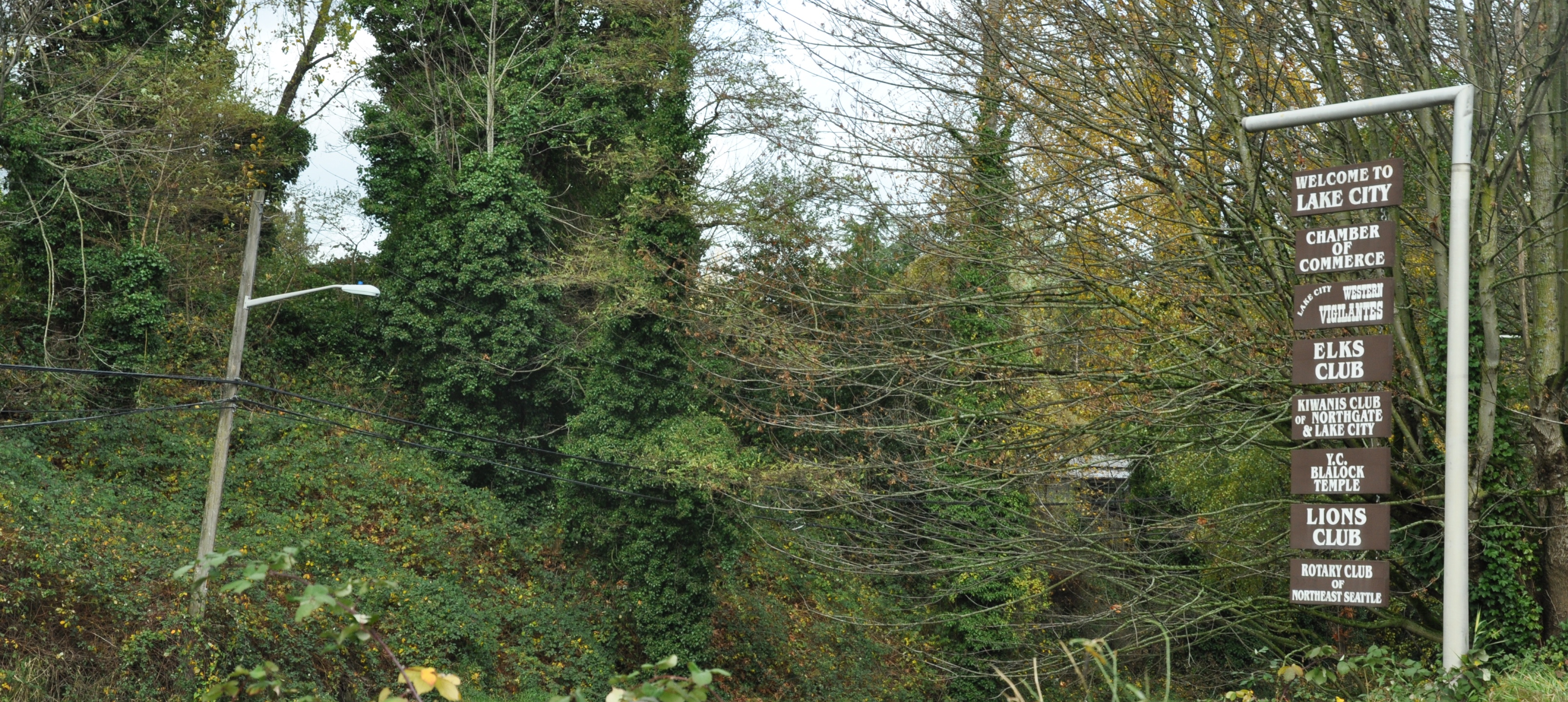 Lake City Homes for Sale & Lake City Real Estate. Lake City, Seattle