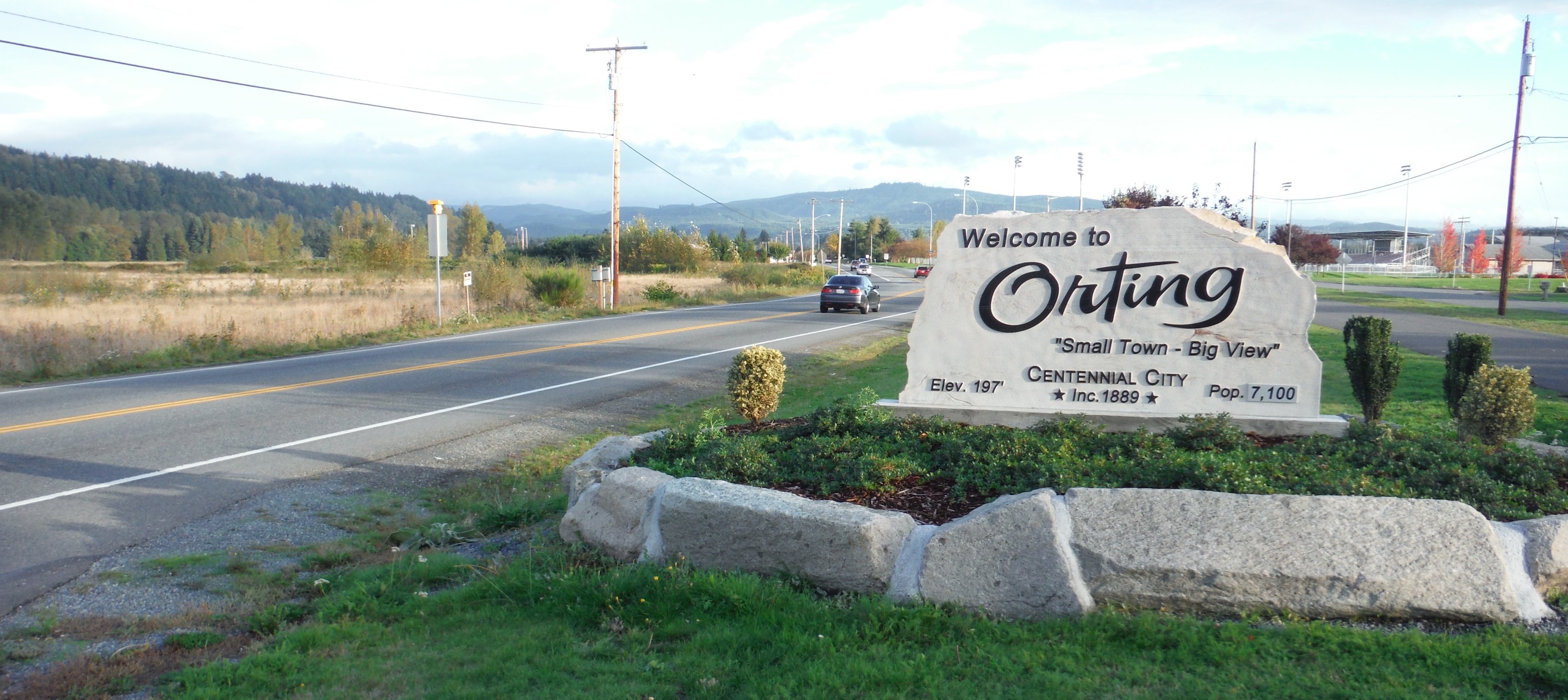 Orting Homes For Sale