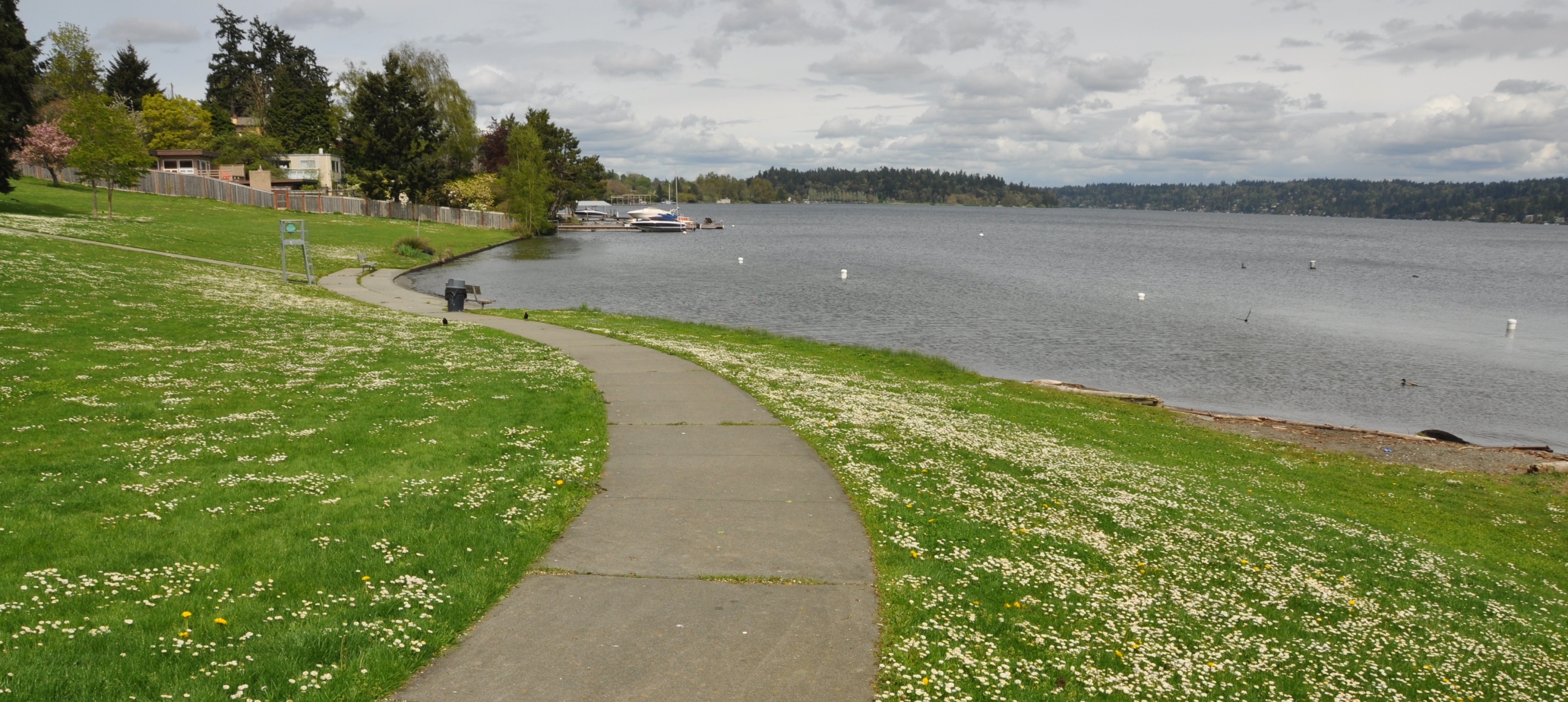 South Seattle Homes For Sale & South Seattle Real Estate