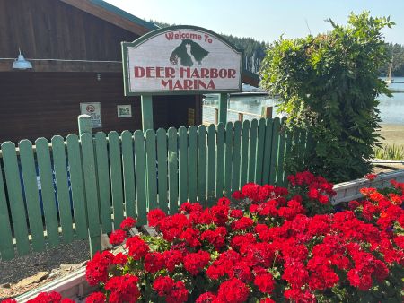 deer harbor marina