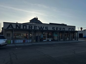 andrews seed co