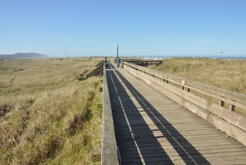 boardwalk
