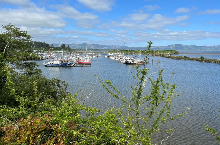 port of ilwaco