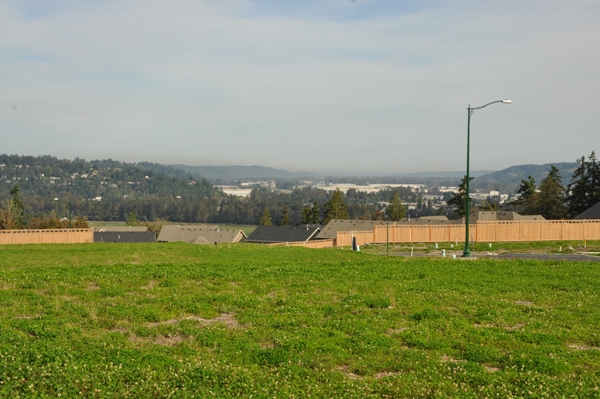 puyallup highlands land