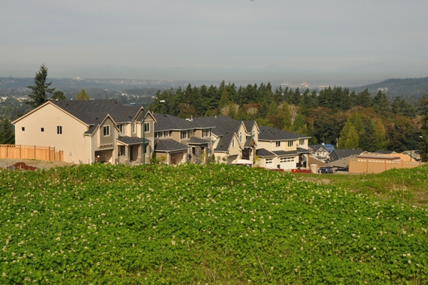 puyallup highlands