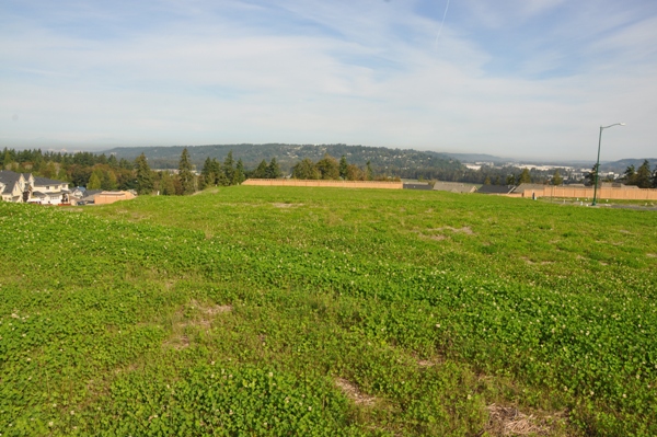 puyallup highlands view