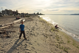 alki beach