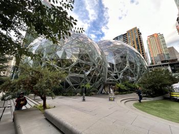 amazon