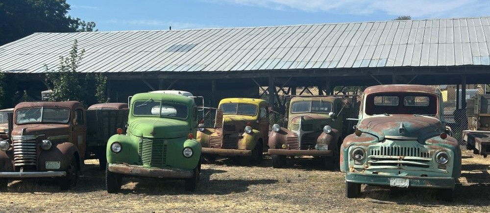 cars