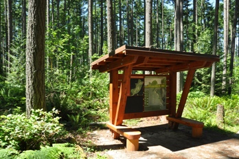 hiking trails