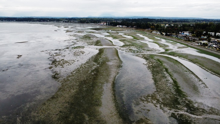 birch bay