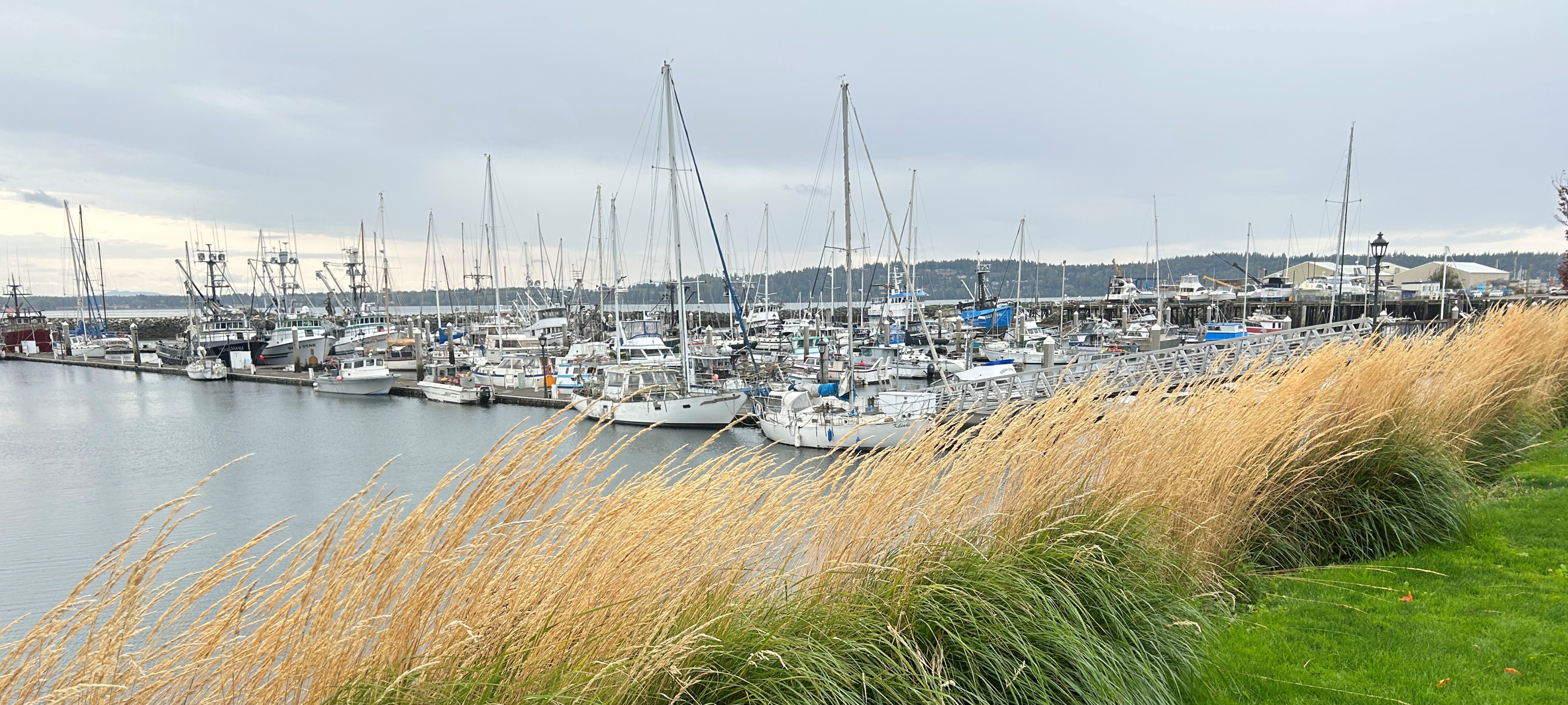 Blaine Homes for Sale & Blaine Real Estate. Blaine, Washington