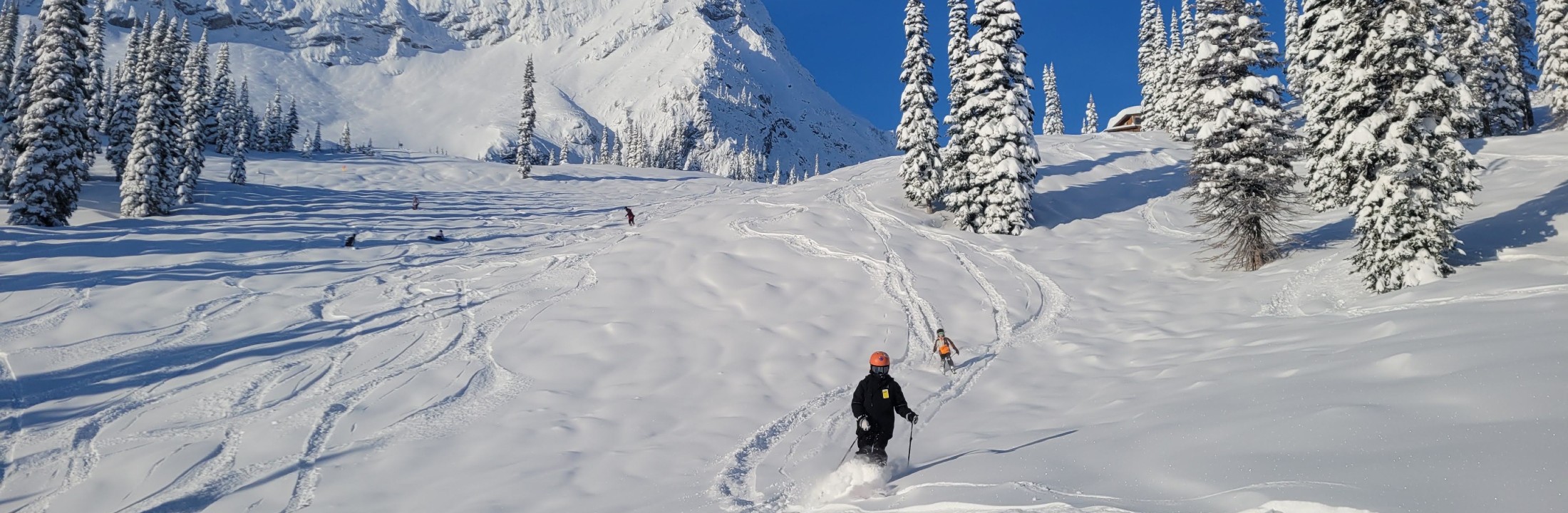 Fernie Alpine Resort Real Estate Ski Hill Homes For Sale