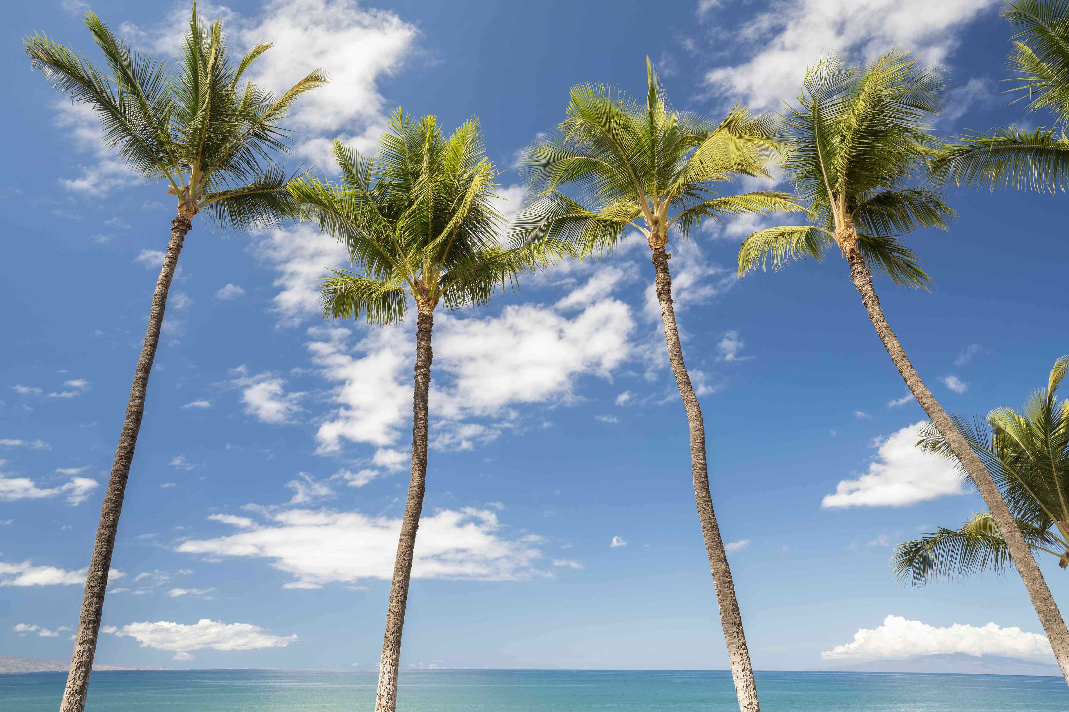 West Maui homes for sale
