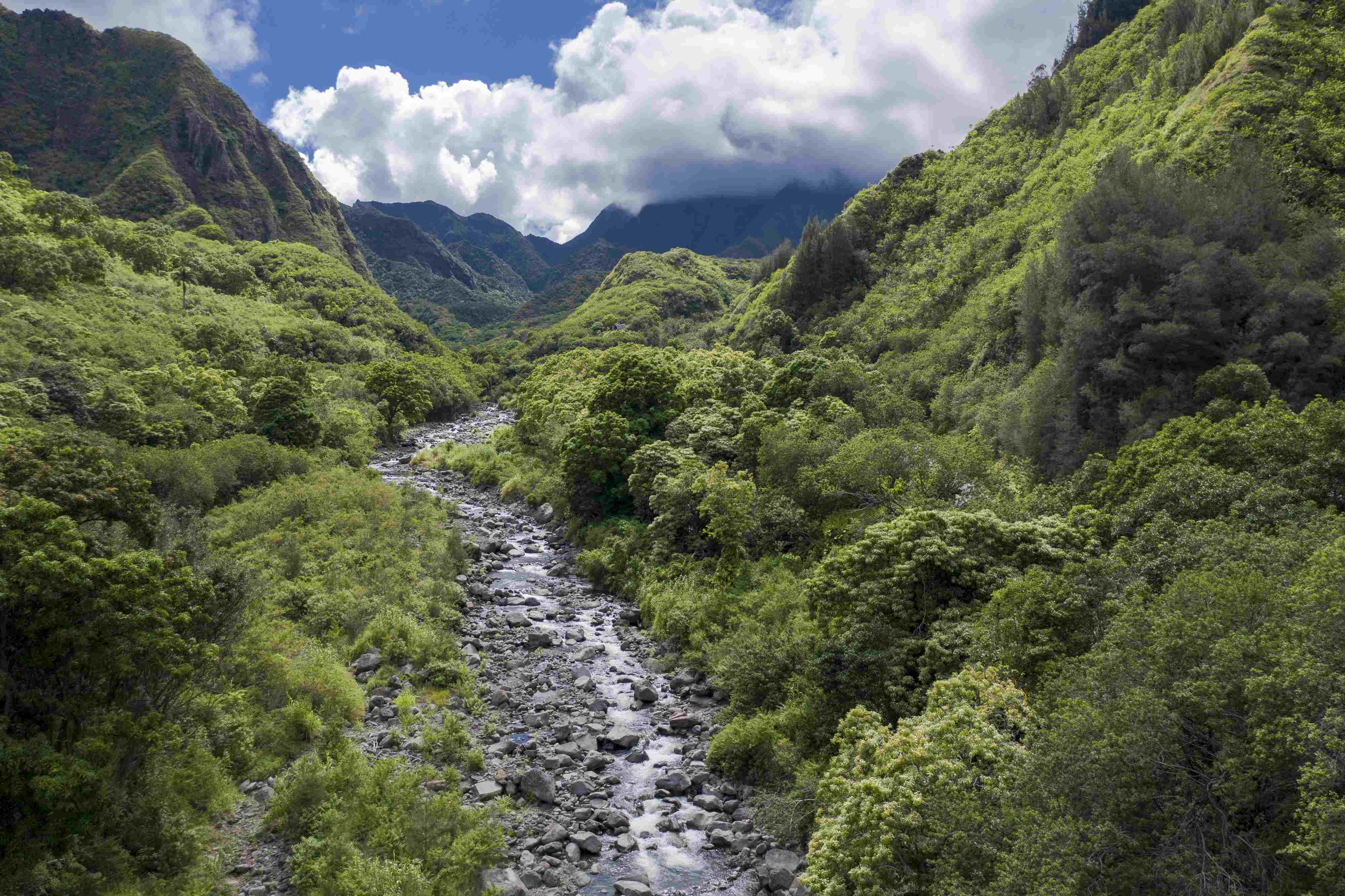 Wailuku homes for sale