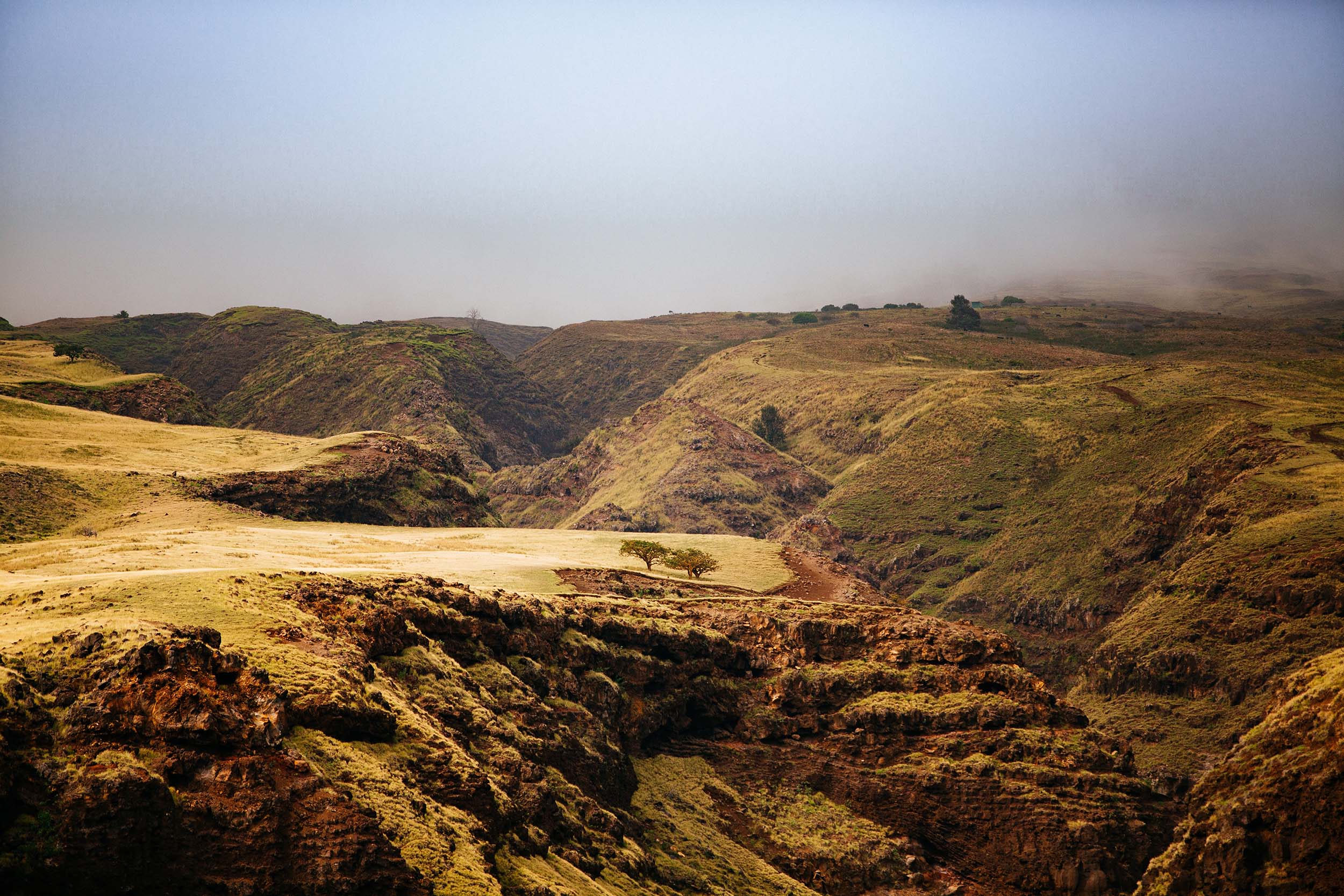 Explore Maui Regions