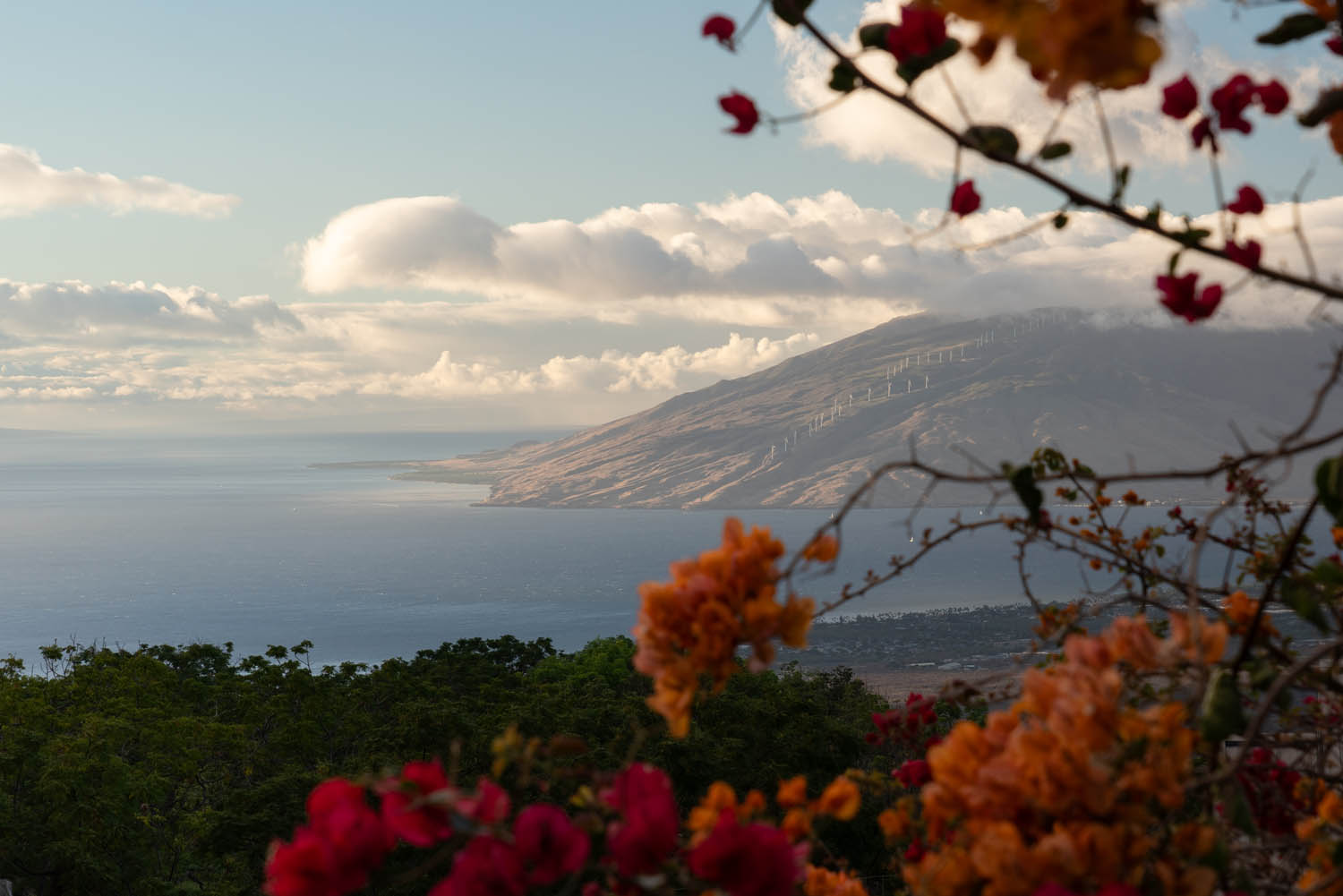 Kula homes for sale
