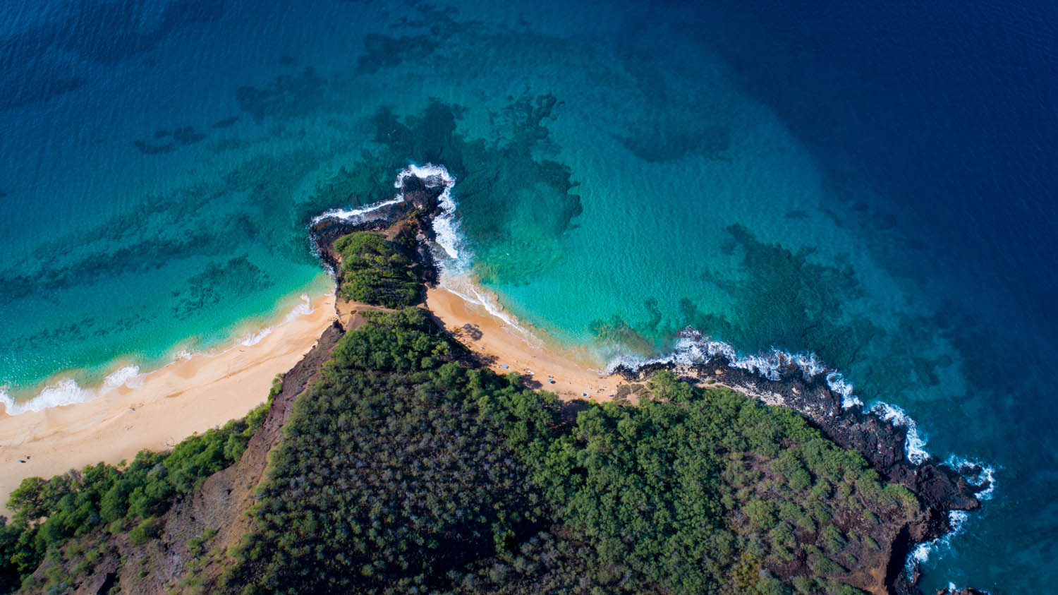 Makena homes for sale