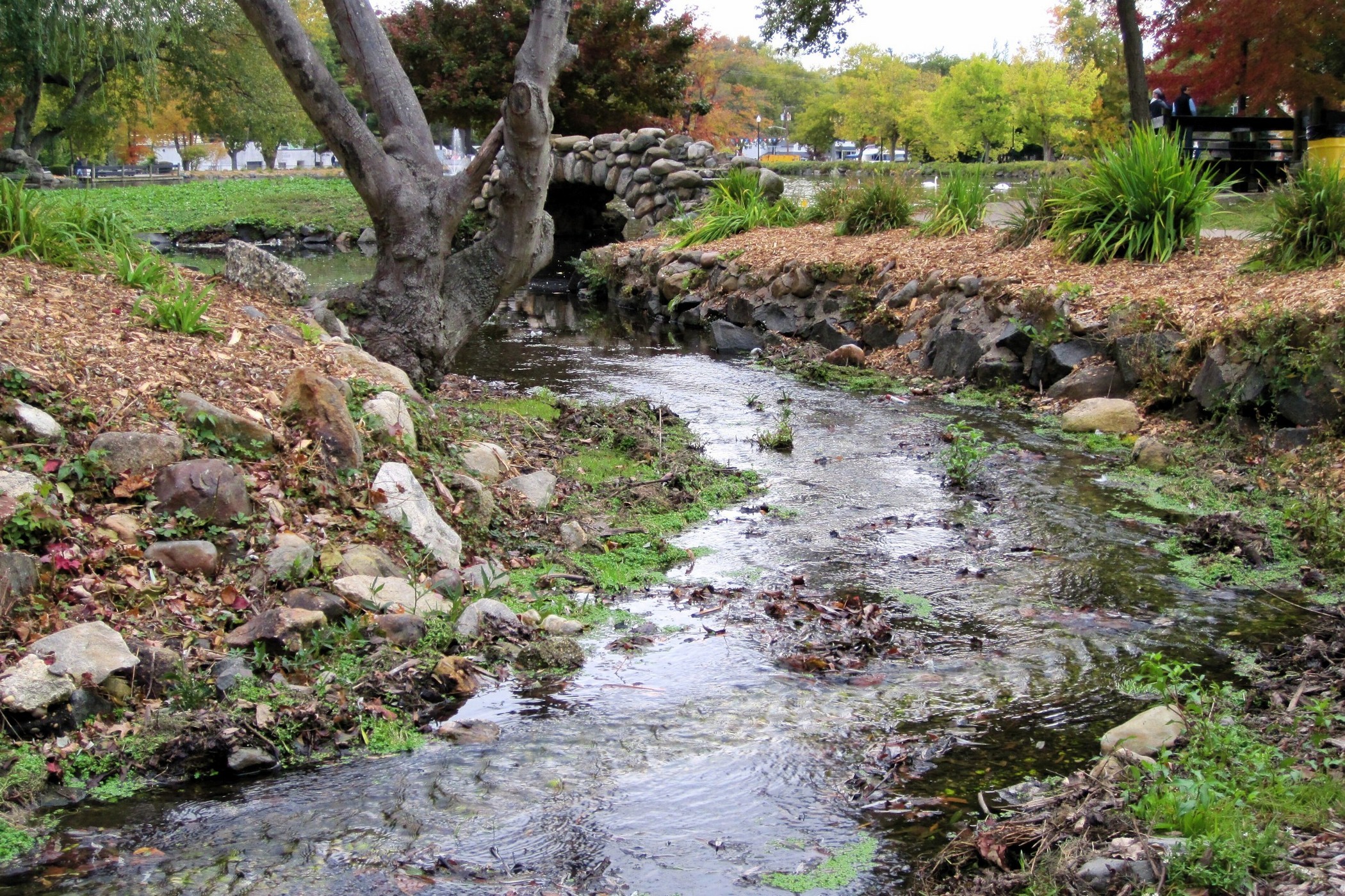 Autumn stream and stone bridge at Heckscher Park in Huntington