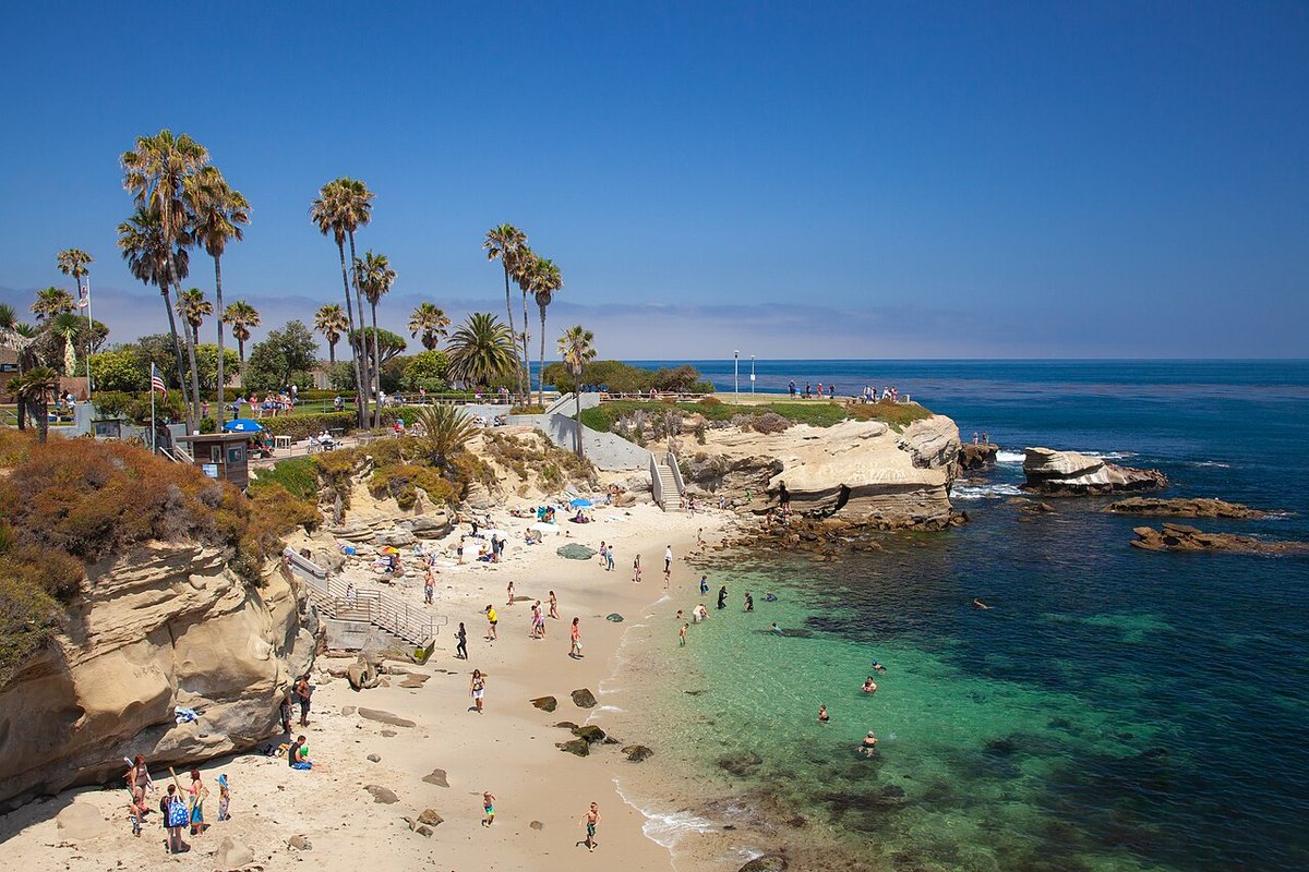 La Jolla Cove with sandstone shore, palms and ocean.