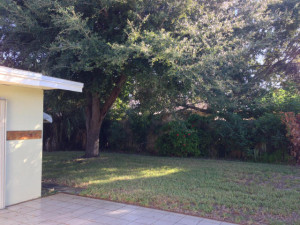 Mature trees throughout the property