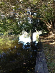 Just Listed! Charming home on a "Manatee Canal" in Satellite Beach