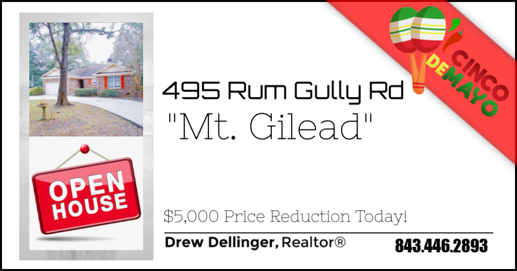 495 Rum Gully in Mt. Gilead in Murrells Inlet SC