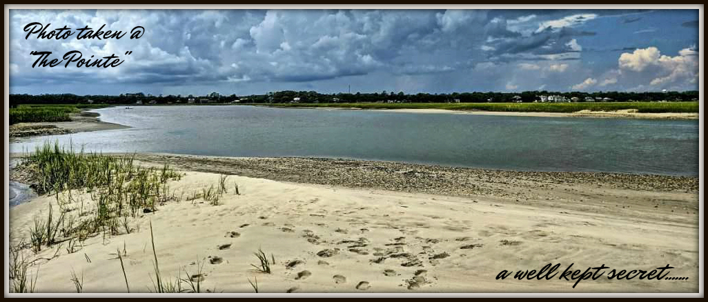 benchmark pt murrells inlet