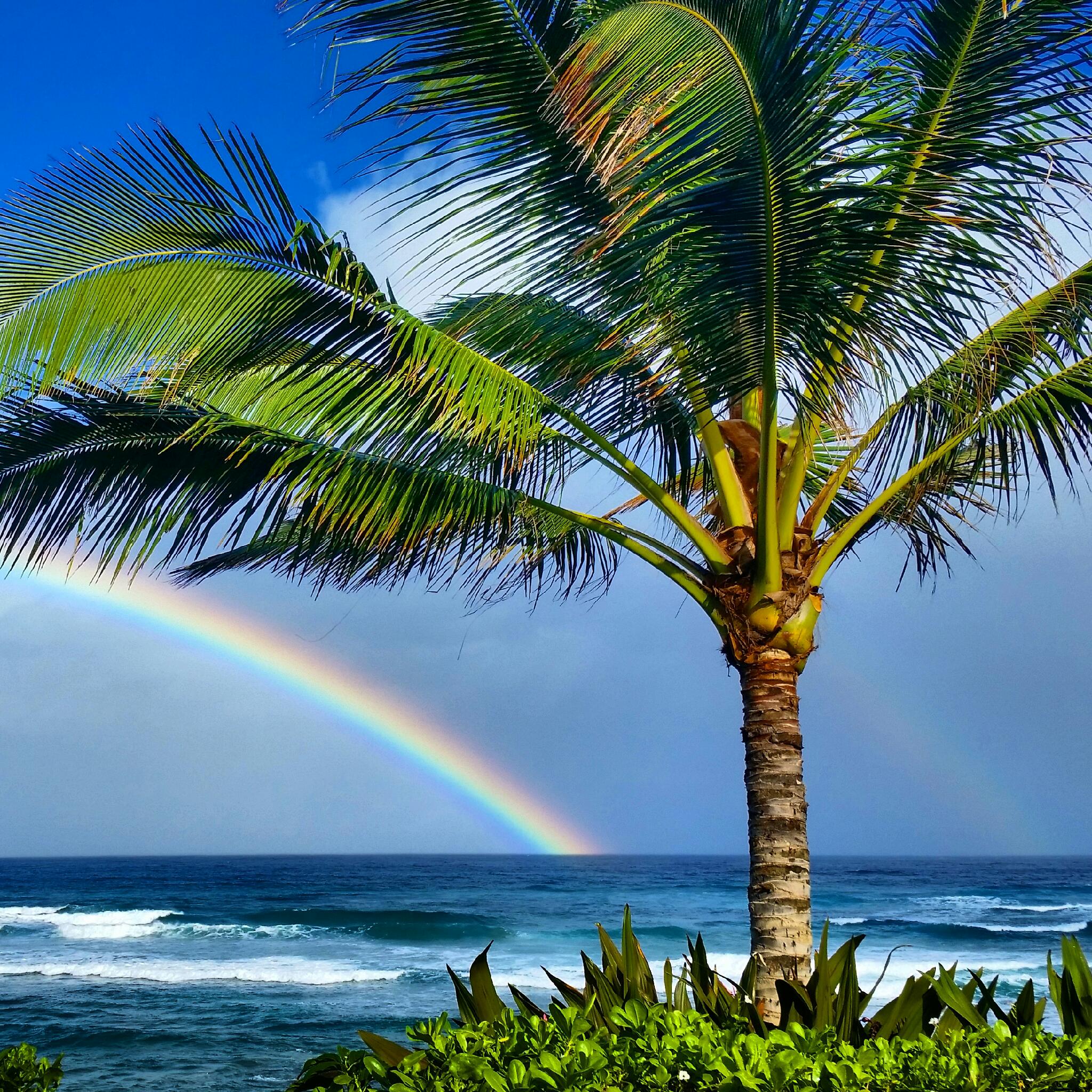 rainbow house oahu hawaii property