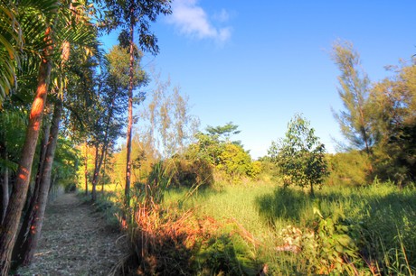 pupukea lot for sale