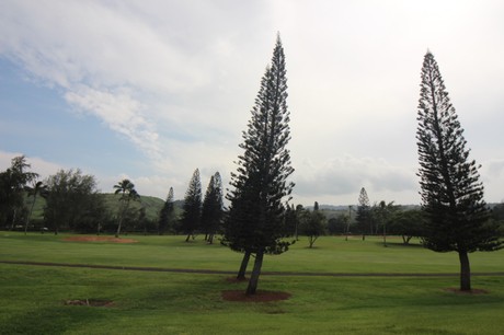 Kuilima Estates West #120 Golf Course View