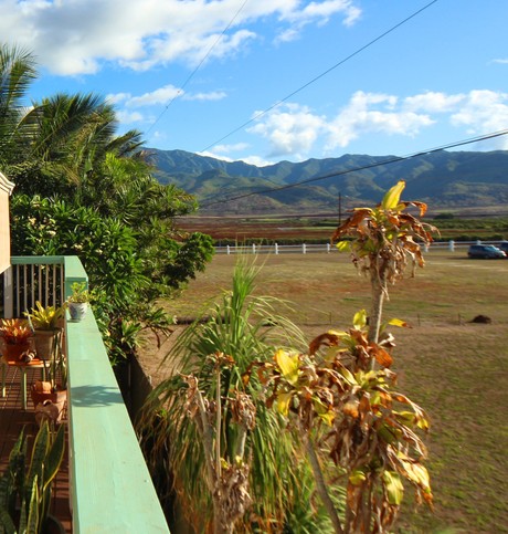 oceanfront park