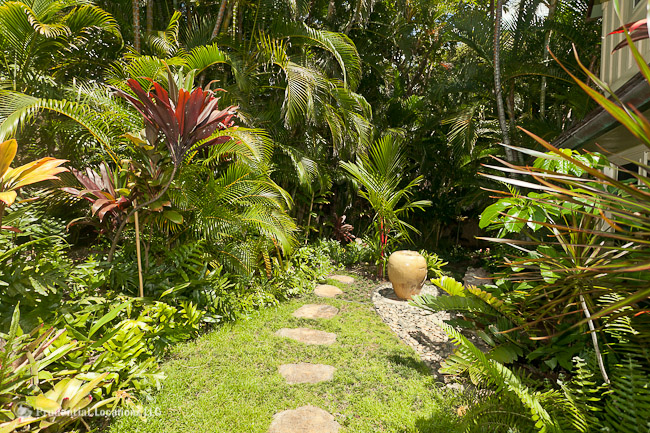 Tropical Backyard Garden 