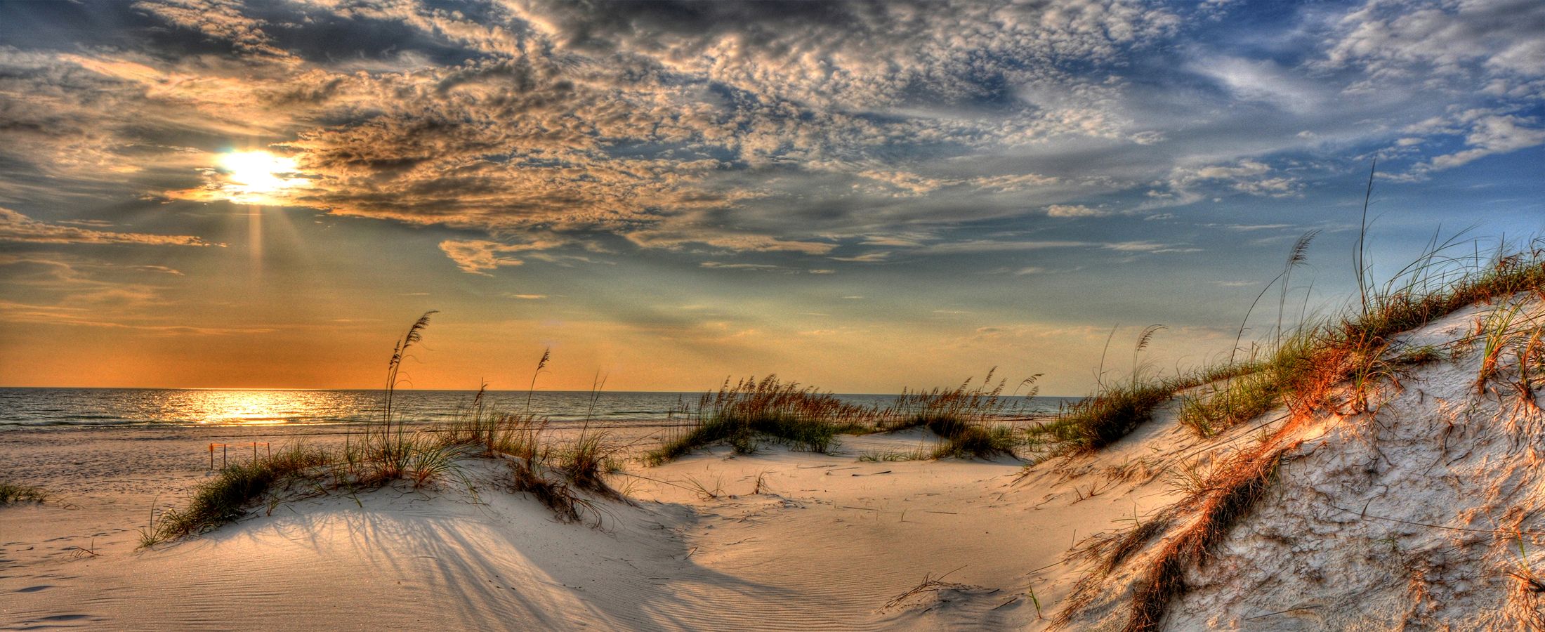 Florida's Coast Real Estate Coast Homes and