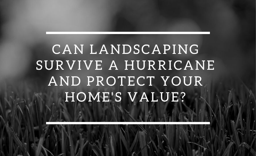 Can Landscaping Survive a Hurricane and Protect Your Home's Value