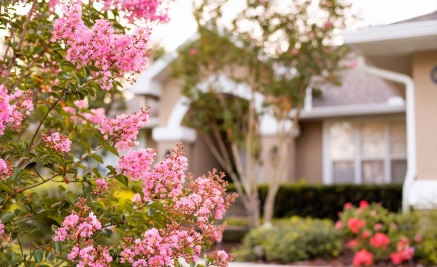 Can the Right Garden Really Boost Your Forgotten Coast Home's Value
