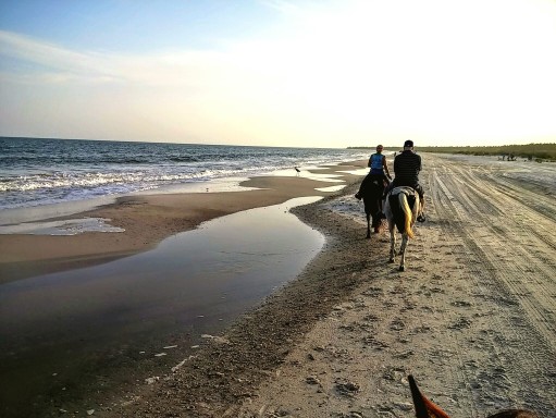 Cape San Blas Real Estate