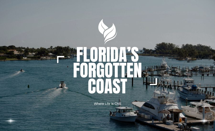 Should We Move to the Forgotten Coast