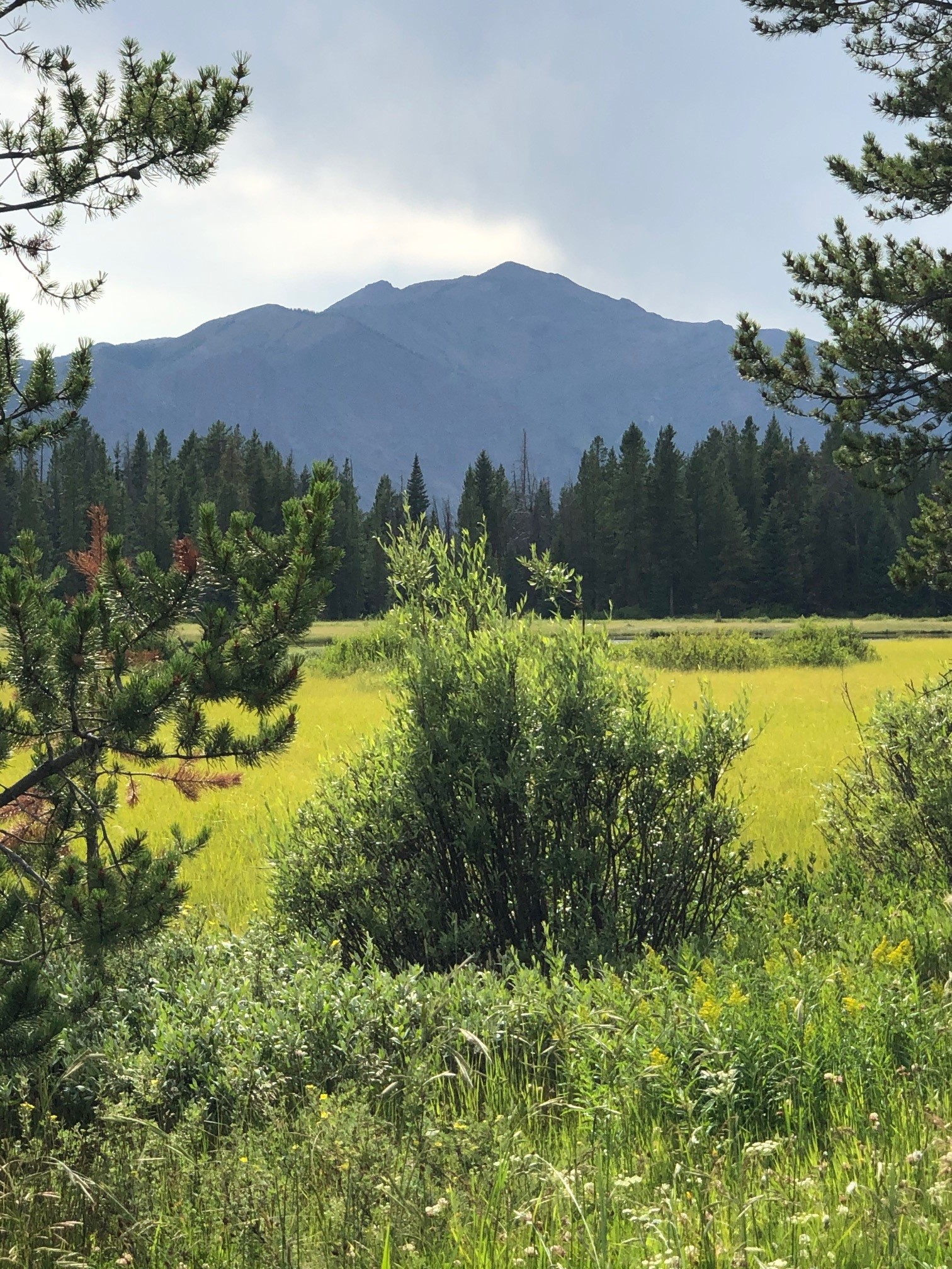 Lovell WY Real Estate, Homes, Condos for Sale Peaks to Prairie Realty