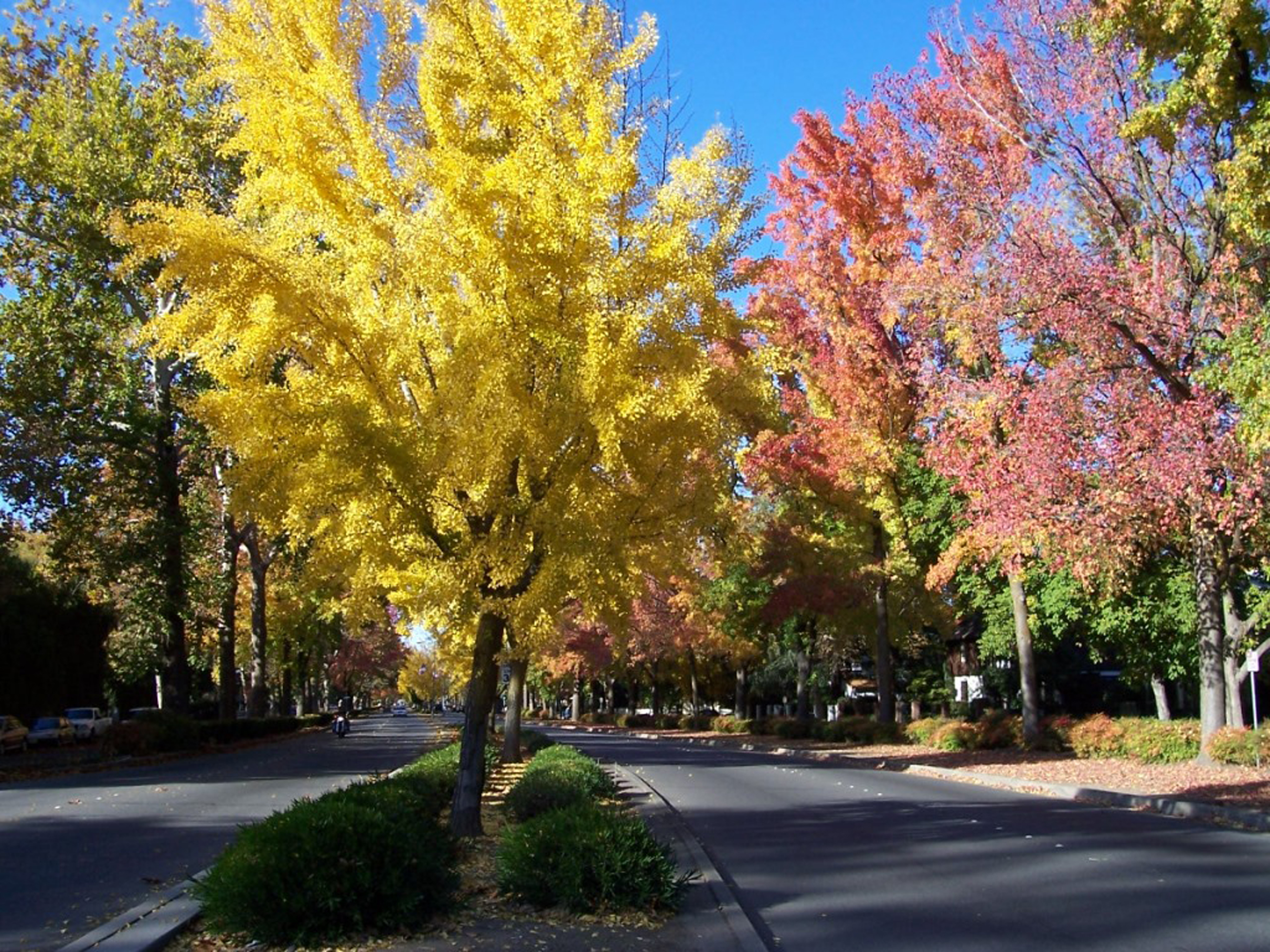 Coldwell Banker DuFour Realty